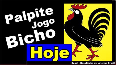 Palpites do Jogo do Bicho de Hoje 